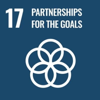 SDG: 17